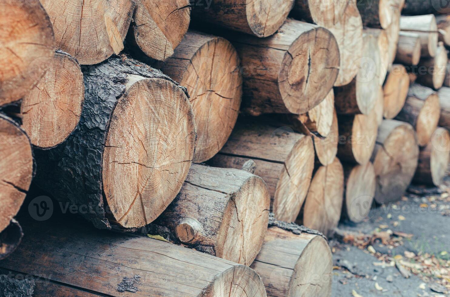 Preparation of firewood for the winter. Firewood background. photo