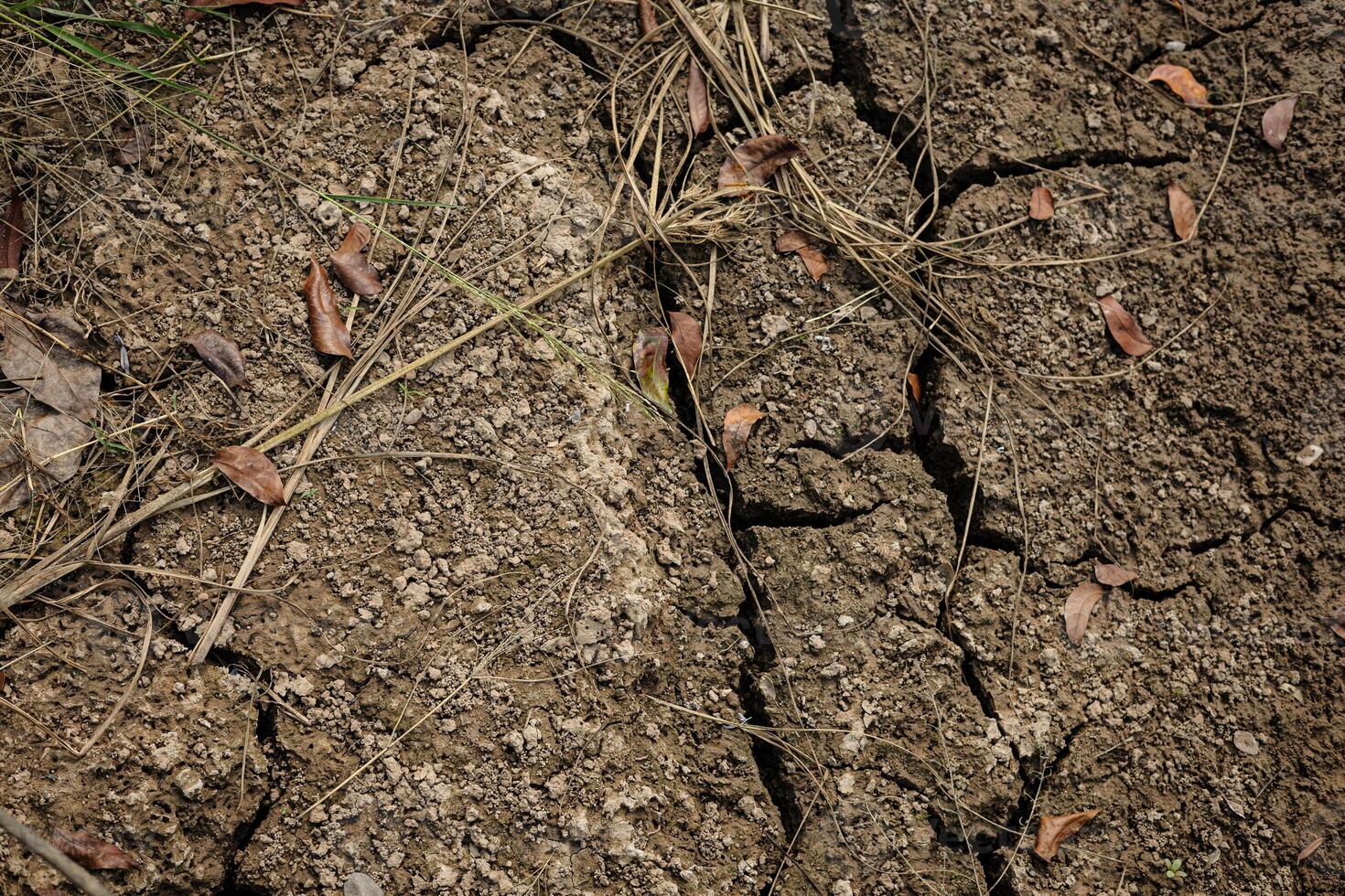 Textures On The Cracked Ground photo