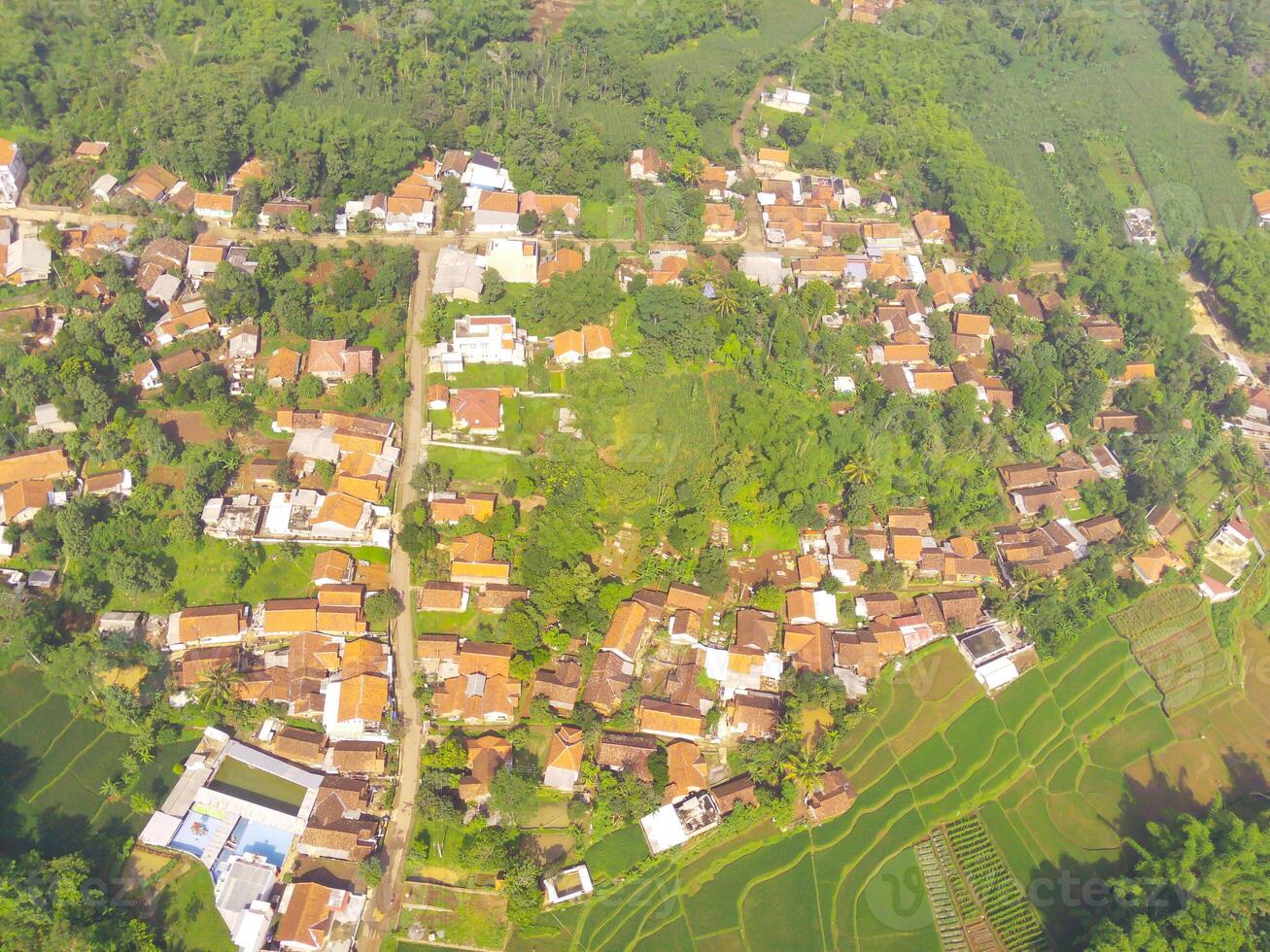 Bird eye view of village among rice fields in Bandung City, Indonesia. Landscape of farmland with rice terrace agricultural crops in countryside. Agricultural Field. Above. Shot from a drone flying photo