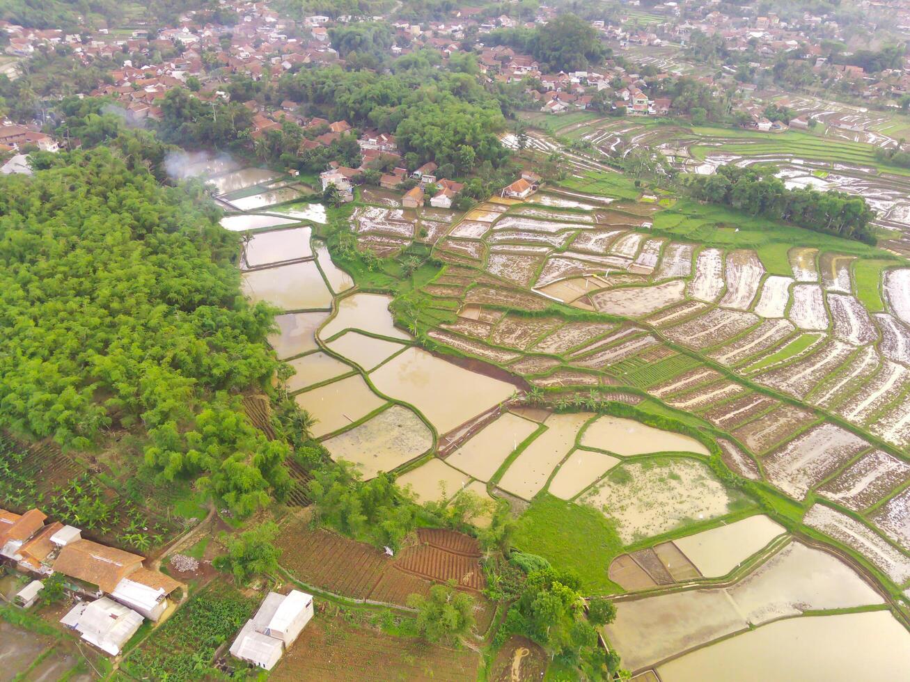 agrícola labor de retazos paisaje. aéreo fotografía. aéreo panorama terminado verde arroz campo. Disparo desde un zumbido volador 200 metros alto. cikancung, Indonesia foto