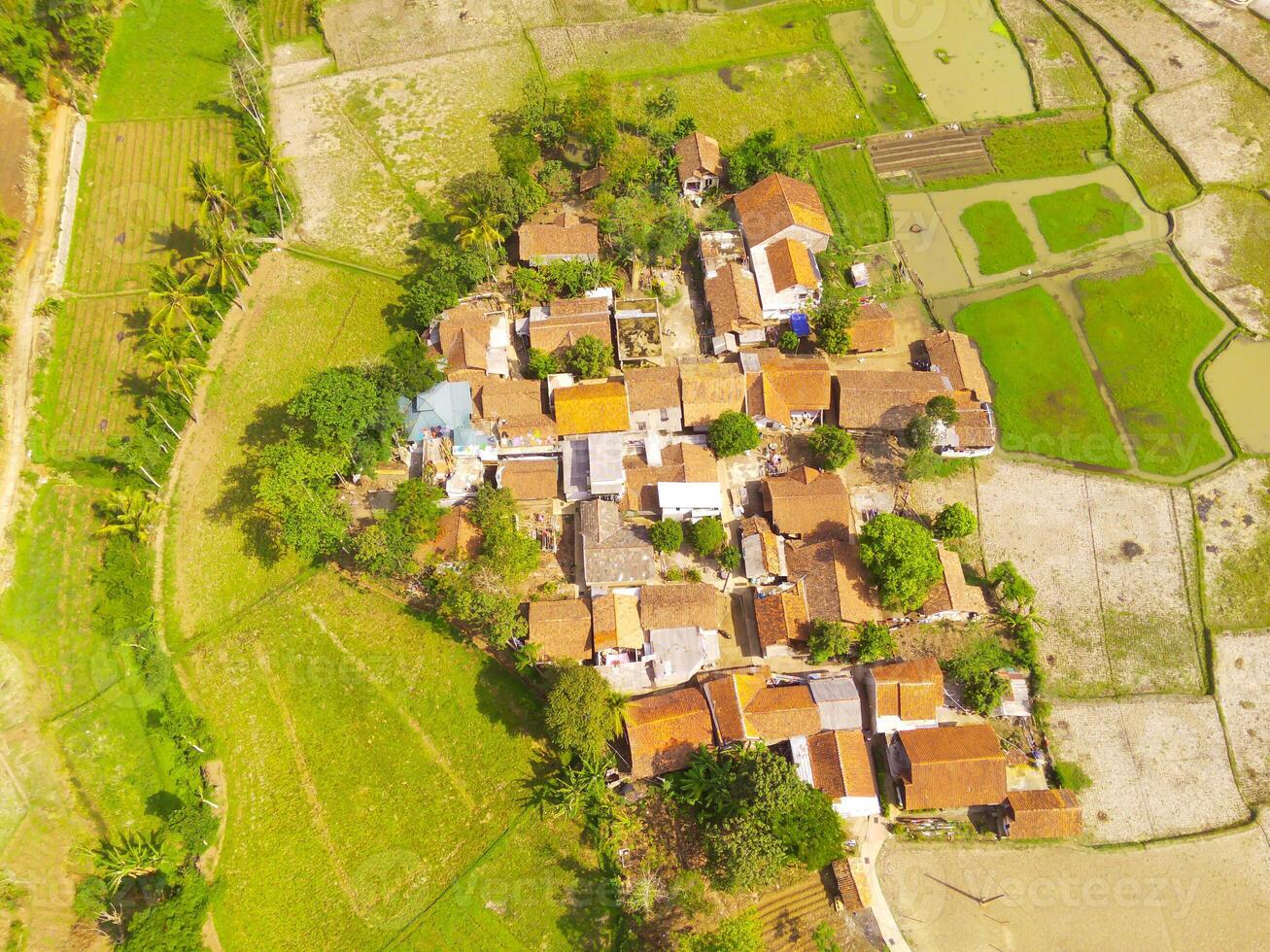 Bird eye view of village among rice fields in Bandung City, Indonesia. Landscape of farmland with rice terrace agricultural crops in countryside. Agricultural Field. Above. Shot from a drone flying photo