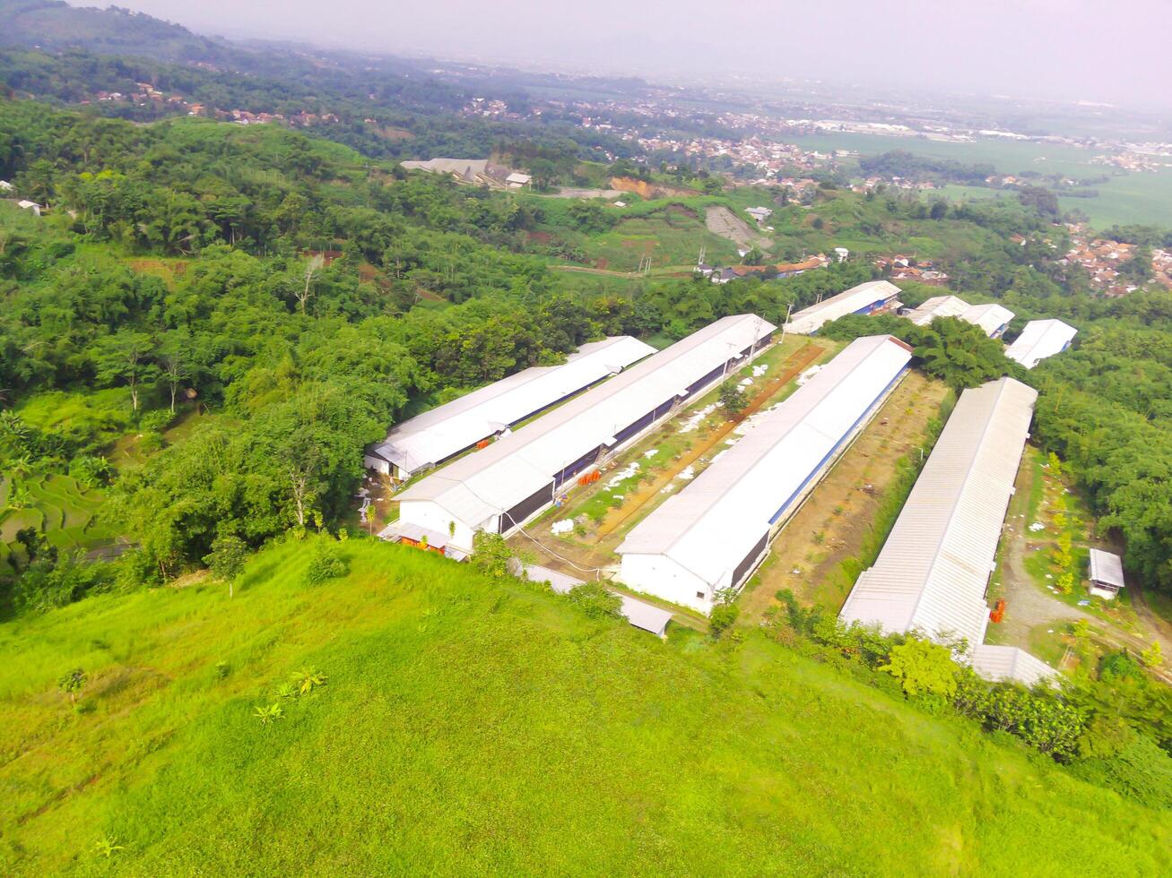 Top view of Corn storage and processing warehouse. Landscape view of the warehouse in the middle of expanse of trees and plantations. Aerial photography. Food industry. Shot from a flying drone photo