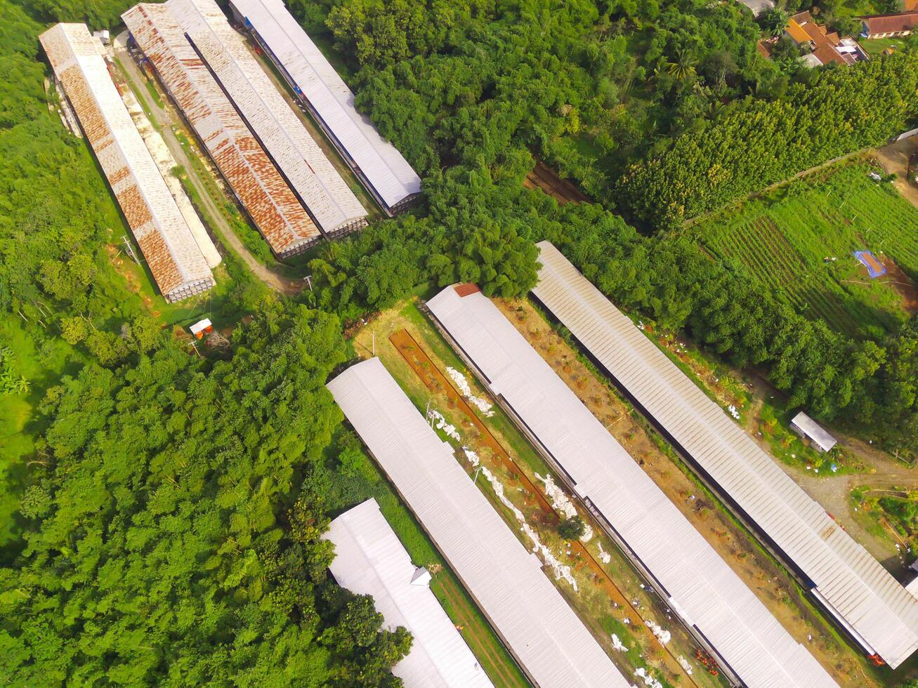 Top view of Corn storage and processing warehouse. Landscape view of the warehouse in the middle of expanse of trees and plantations. Aerial photography. Food industry. Shot from a flying drone photo