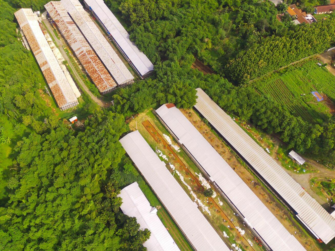 parte superior ver de maíz almacenamiento y Procesando depósito. paisaje ver de el almacén en el medio de extensión de arboles y plantaciones aéreo fotografía. comida industria. Disparo desde un volador zumbido foto