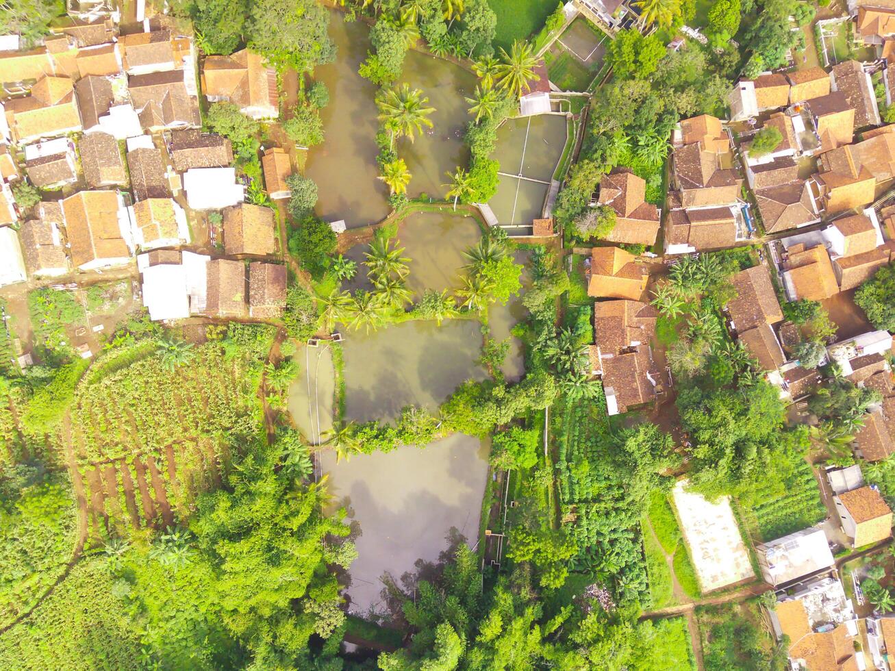 ver de residencia situado en el ladera. aéreo ver de residencia en un remoto zona en cicalengka, Bandung - Indonesia. arriba. alojamiento industria. Disparo en zumbido volador 100 metros foto