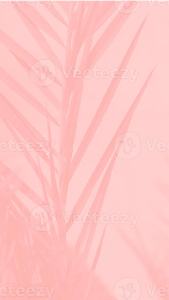 Pink Background texture simple pattern - 81 photo