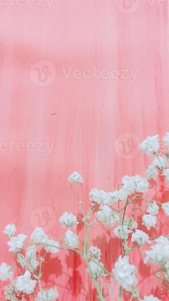 Pink Background texture simple pattern - 65 photo