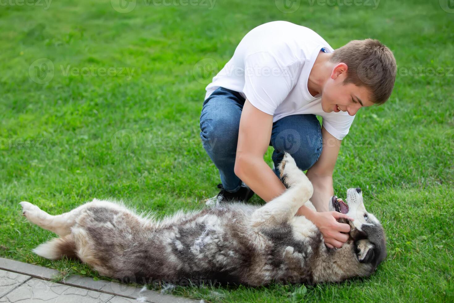 A teenage boy plays with a husky dog. Get a dog. photo