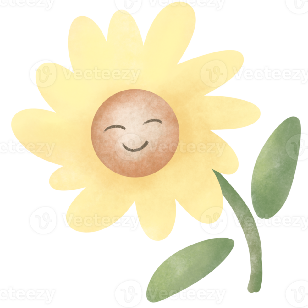 Summer yellow blossom flower With smiling png