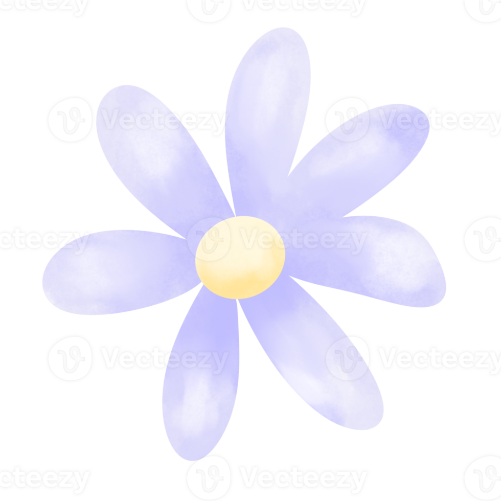 flowering plants, blooming flowers png