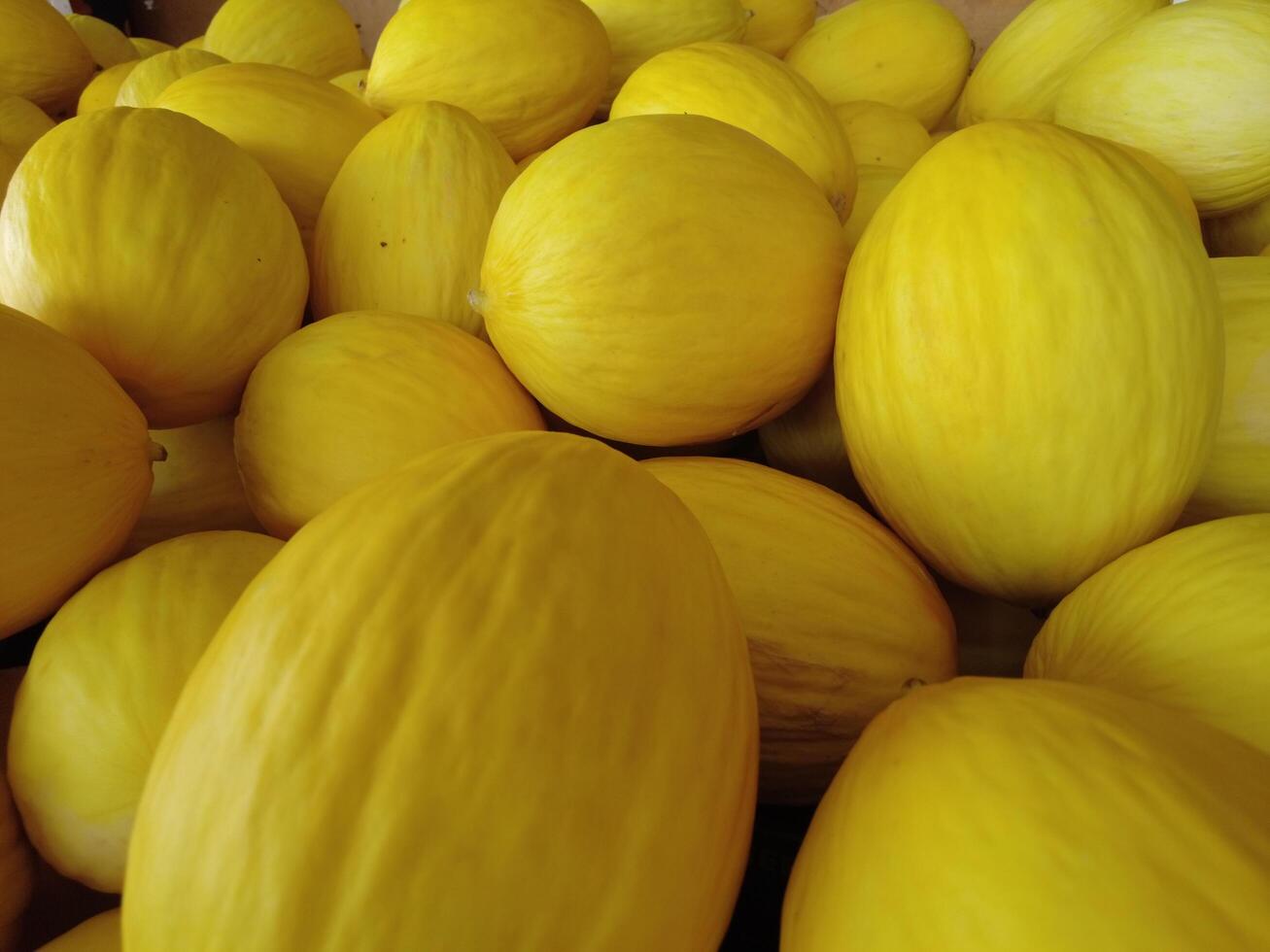 melons in a market photo