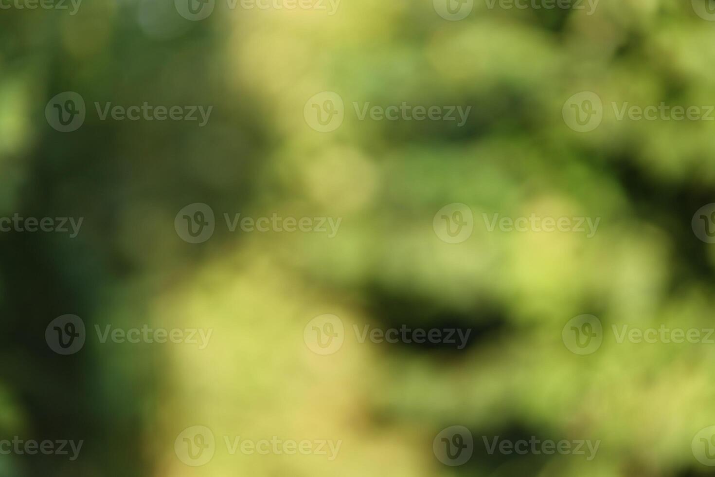 Green blurred bokeh background. Summer background. photo