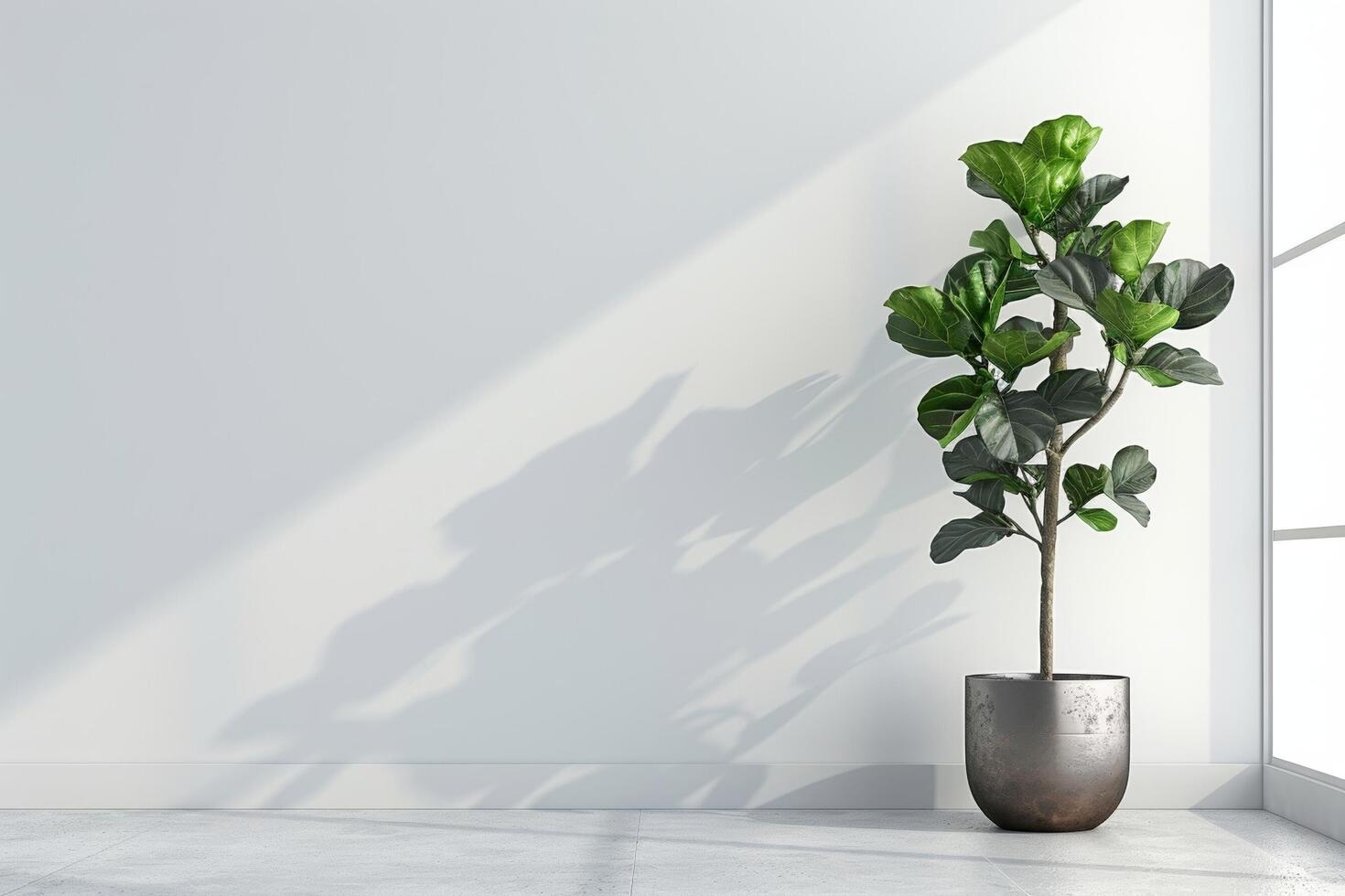 The fiddle leaf fig tree looks striking in a modern metallic planter. photo