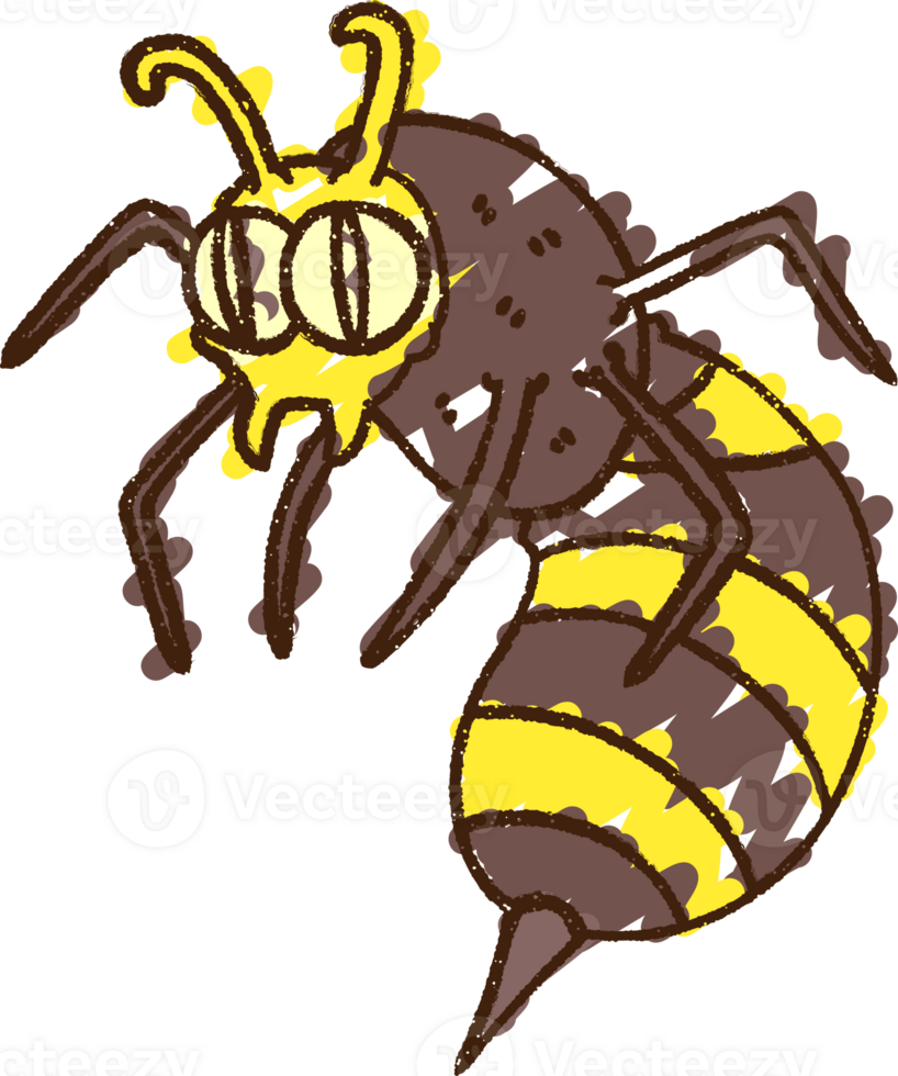 Wasp Chalk Drawing png