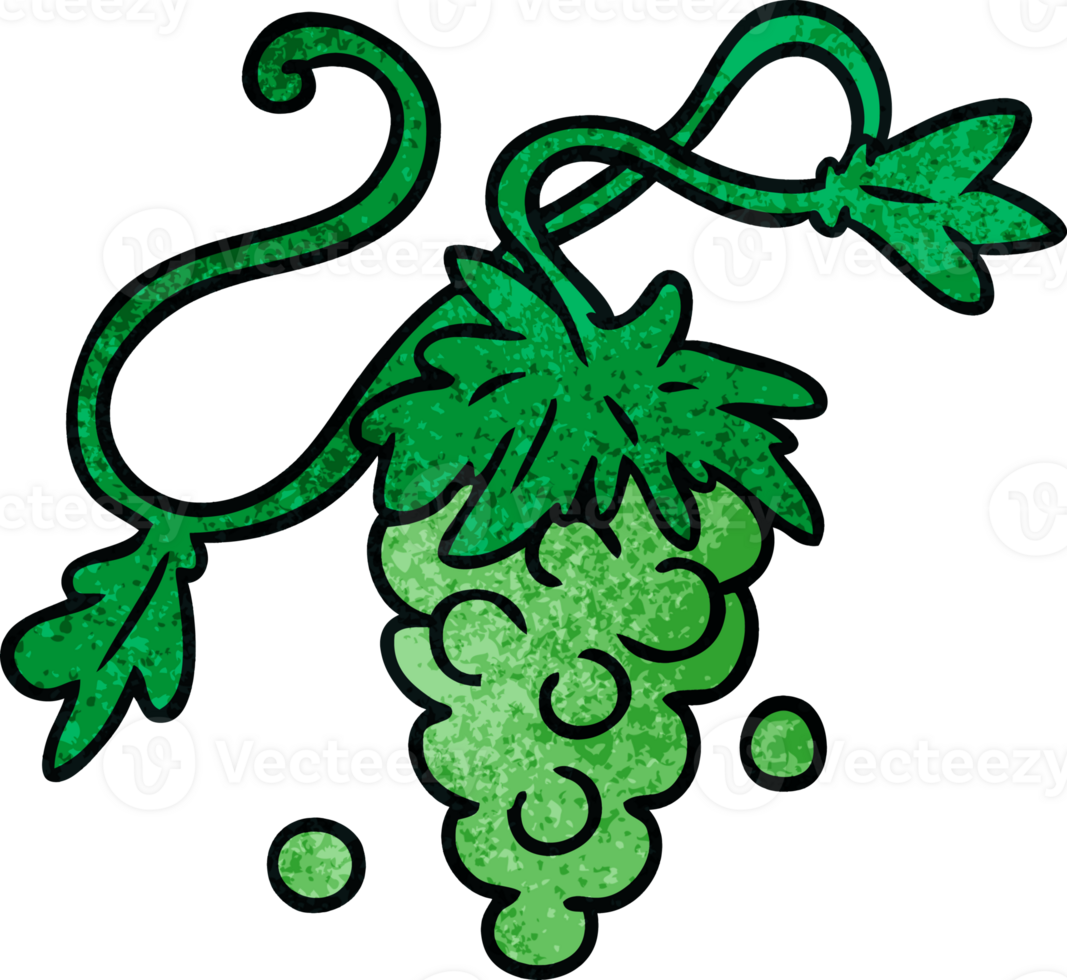 textured cartoon doodle of grapes on vine png