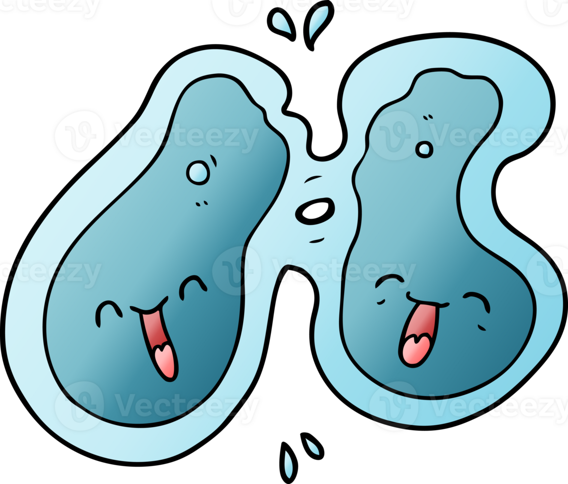 cartoon cell dividing png