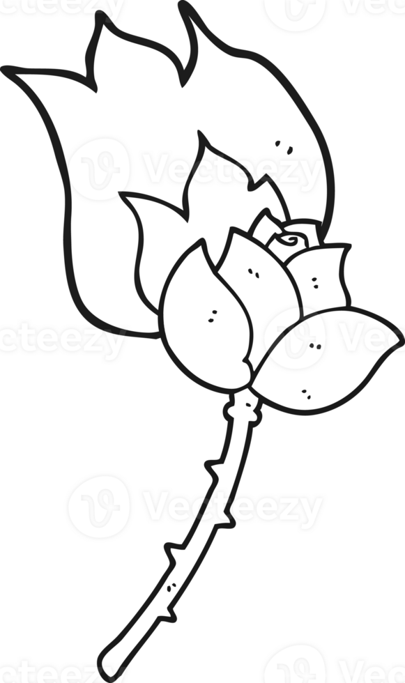 black and white cartoon rose png