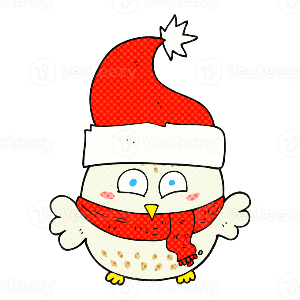 cartoon owl wearing christmas hat png
