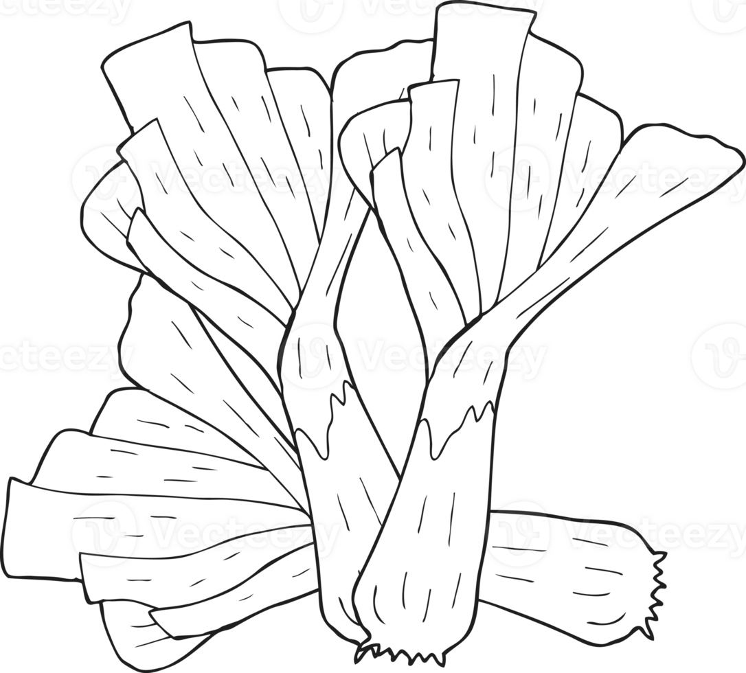 black and white cartoon leeks png