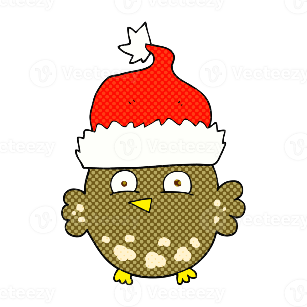 cartoon owl wearing christmas hat png