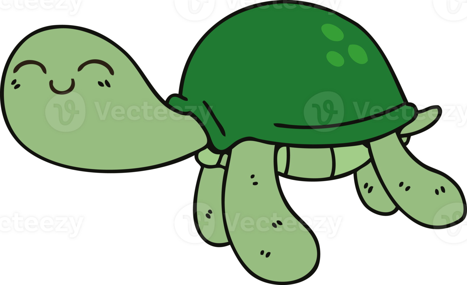 quirky hand drawn cartoon turtle png