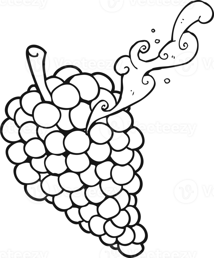 black and white cartoon grapes png