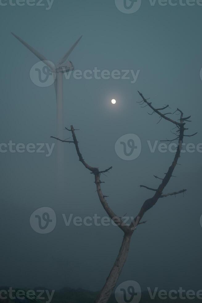 The trunk of a dead pine embraces the full moon with a wind turbine in the background photo