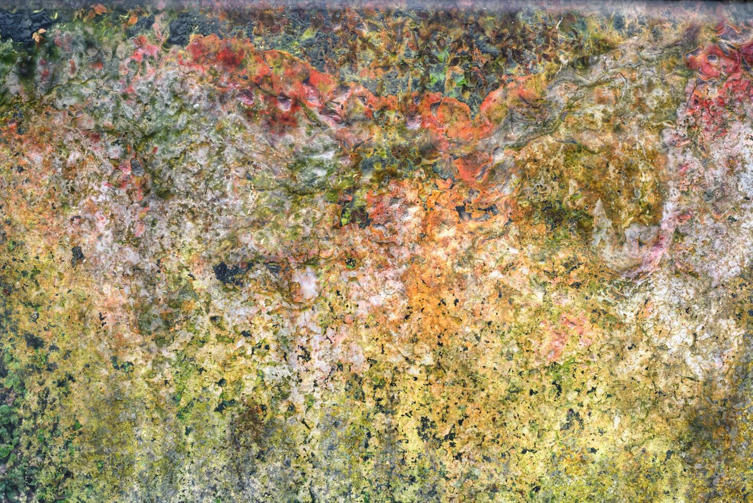 Texture background of algae and fungi behind a glass loaded with condensation photo