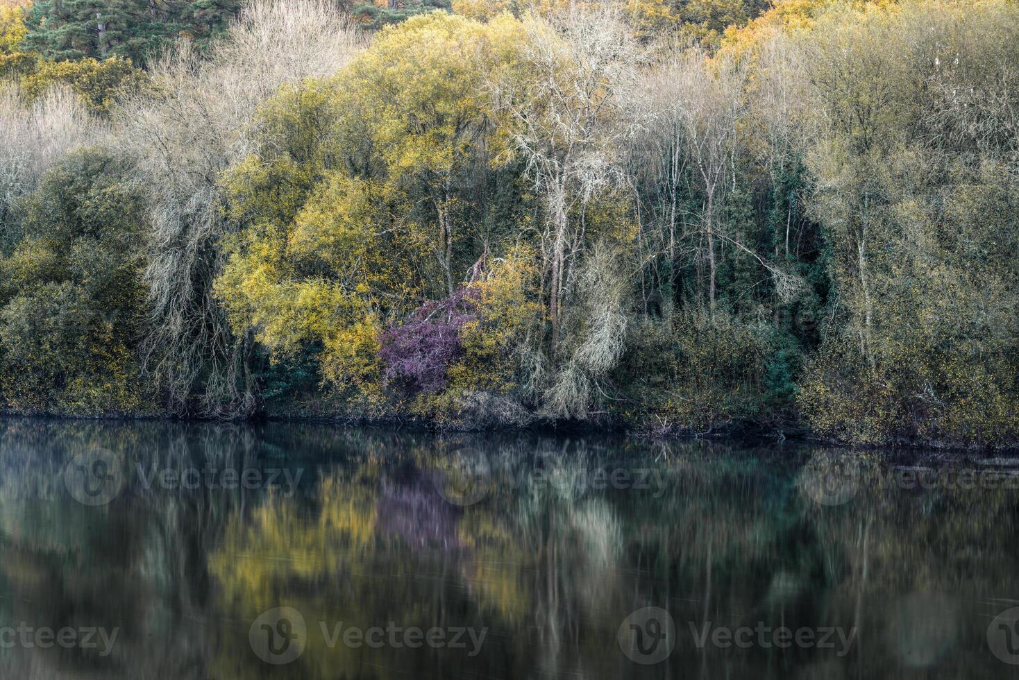 Colorful autumn riverside forest reflected in the calm waters photo