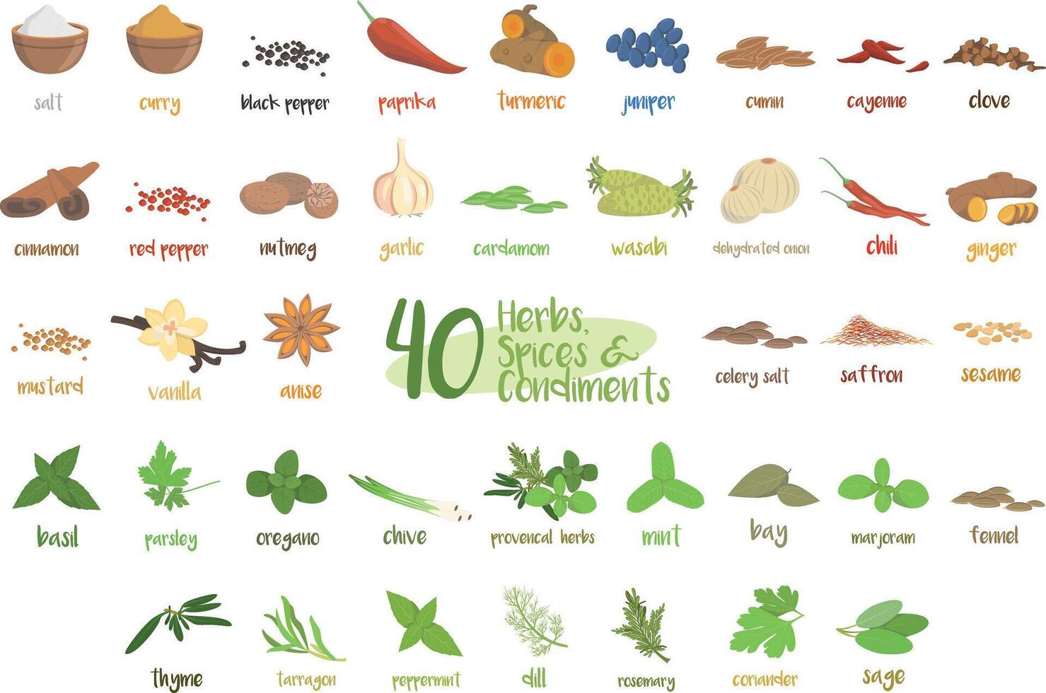 Set of 40 different culinary herbs, species and condiments in cartoon style. vector