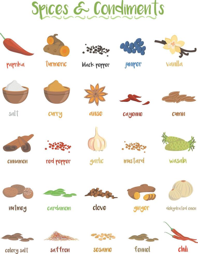 Set of 25 different culinary species and condiments in cartoon style. vector