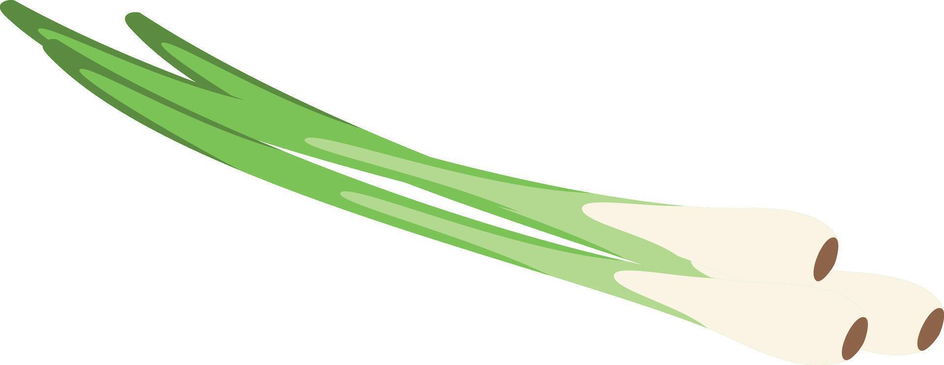 chive illustration isolated in cartoon style. Herbs and Species Series vector