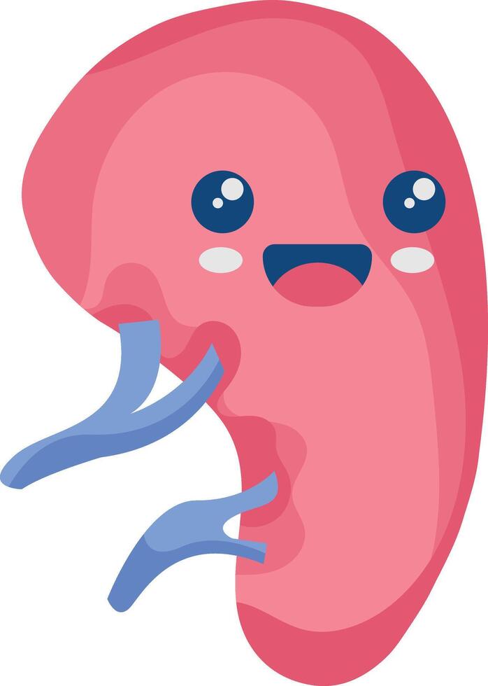 Cute Human Internal Organs Character. Smile Organs Cartoon on White Background vector