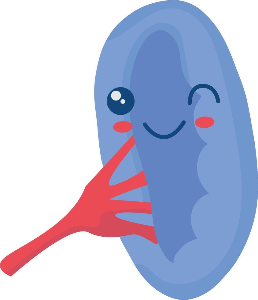 Cute Human Internal Organs Character. Smile Organs Cartoon on White Background vector