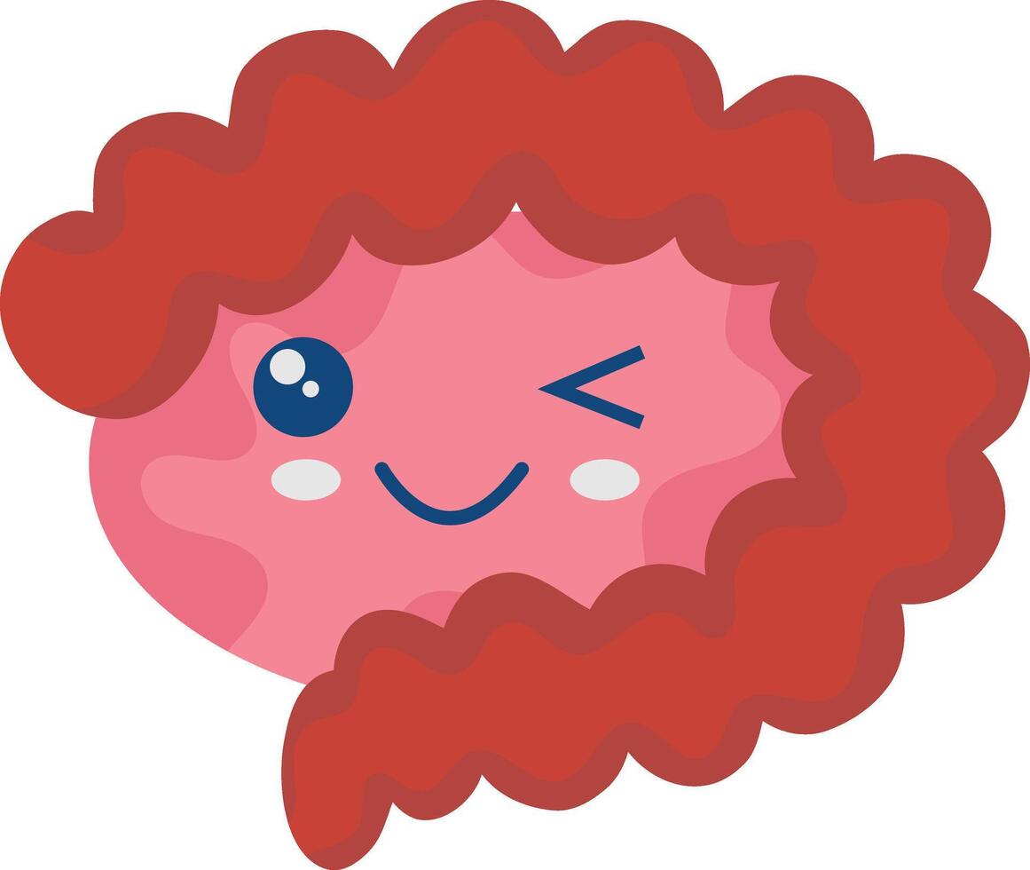 Cute Human Internal Organs Character. Smile Organs Cartoon on White Background vector