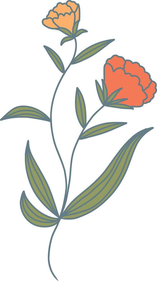 Hand Drawn Floral Botanical Branch. Isolated on White Background. Isolated Element vector
