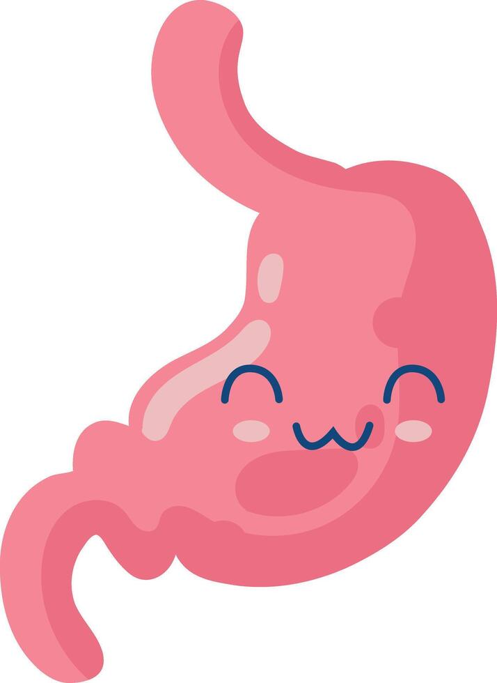 Cute Human Internal Organs Character. Smile Organs Cartoon on White Background vector