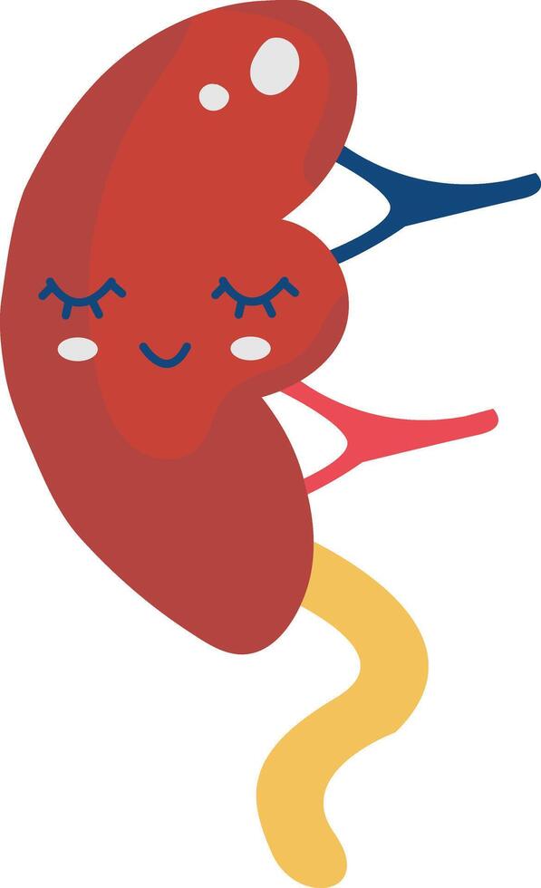 Cute Human Internal Organs Character. Smile Organs Cartoon on White Background vector