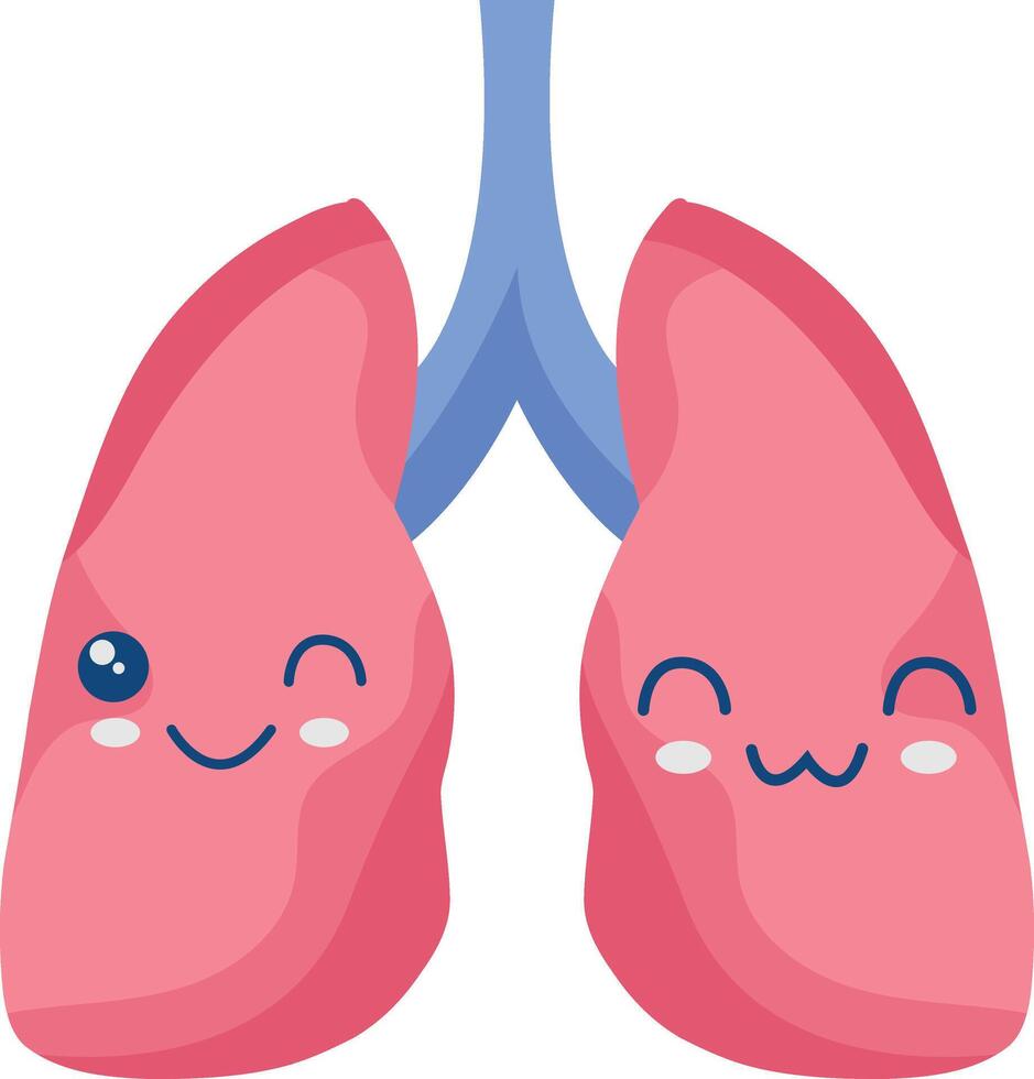 Cute Human Internal Organs Character. Smile Organs Cartoon on White Background vector