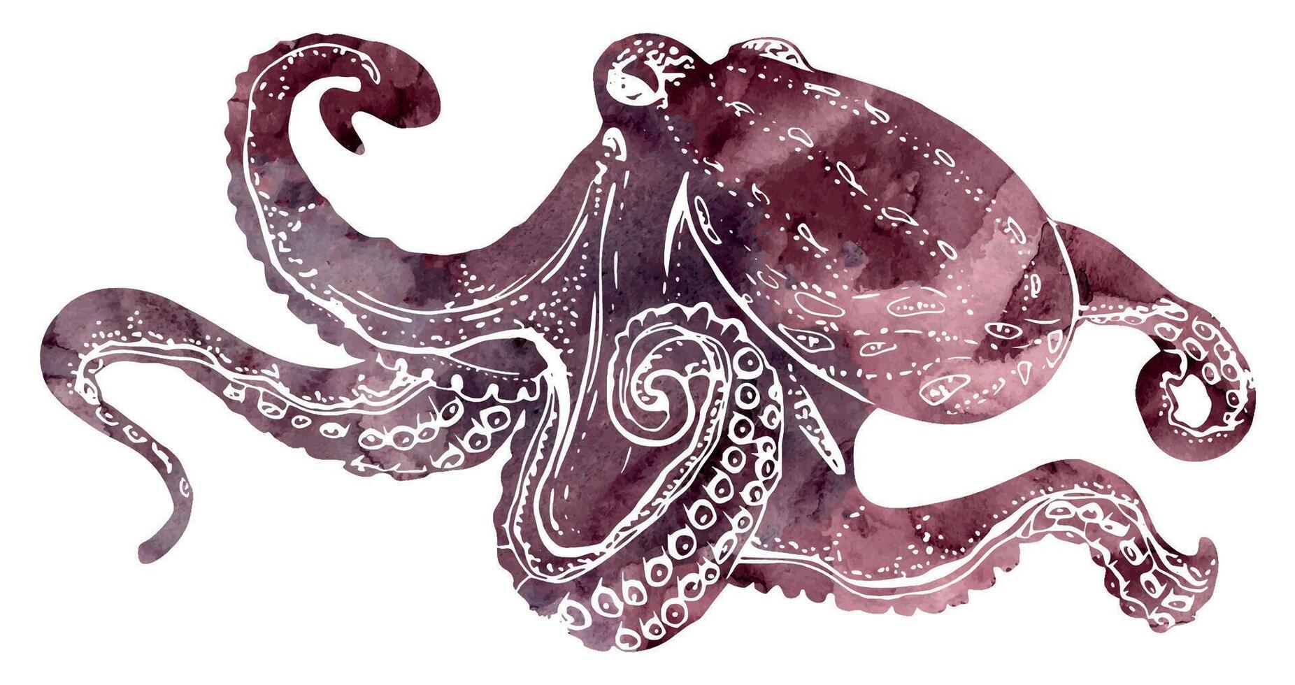 Watercolor and ink hand drawn marine life, sea ocean underwater creatures. fish, shells algae seaweed. Single object illustration, stylized, isolated on white. Zoo shop, aquarium, cosmetics, resort vector