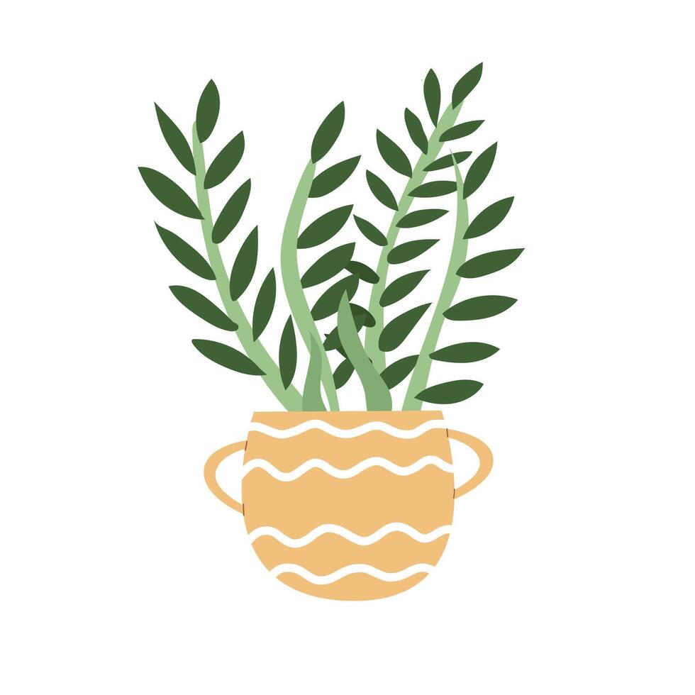 Houseplant. Indoor plant in a pot. illustration with white isolated background. vector