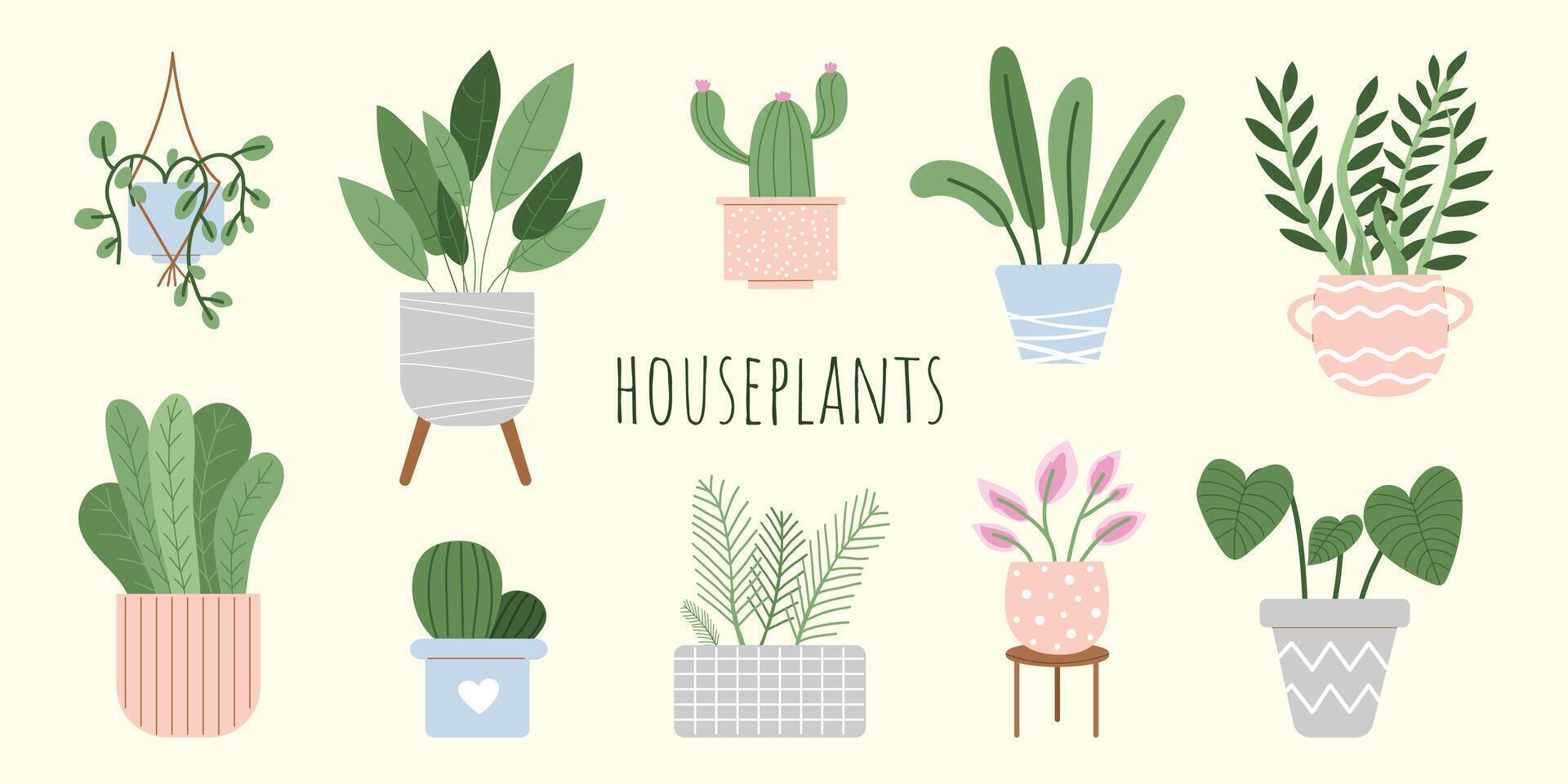 Houseplants. set of house plants in pots. Home green decoration. Flowering potted plants. Trendy home decor with flowers. Flat illustrations isolated on white background. vector