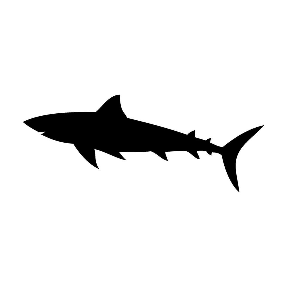 Shark silhouette flat illustration on isolated background vector