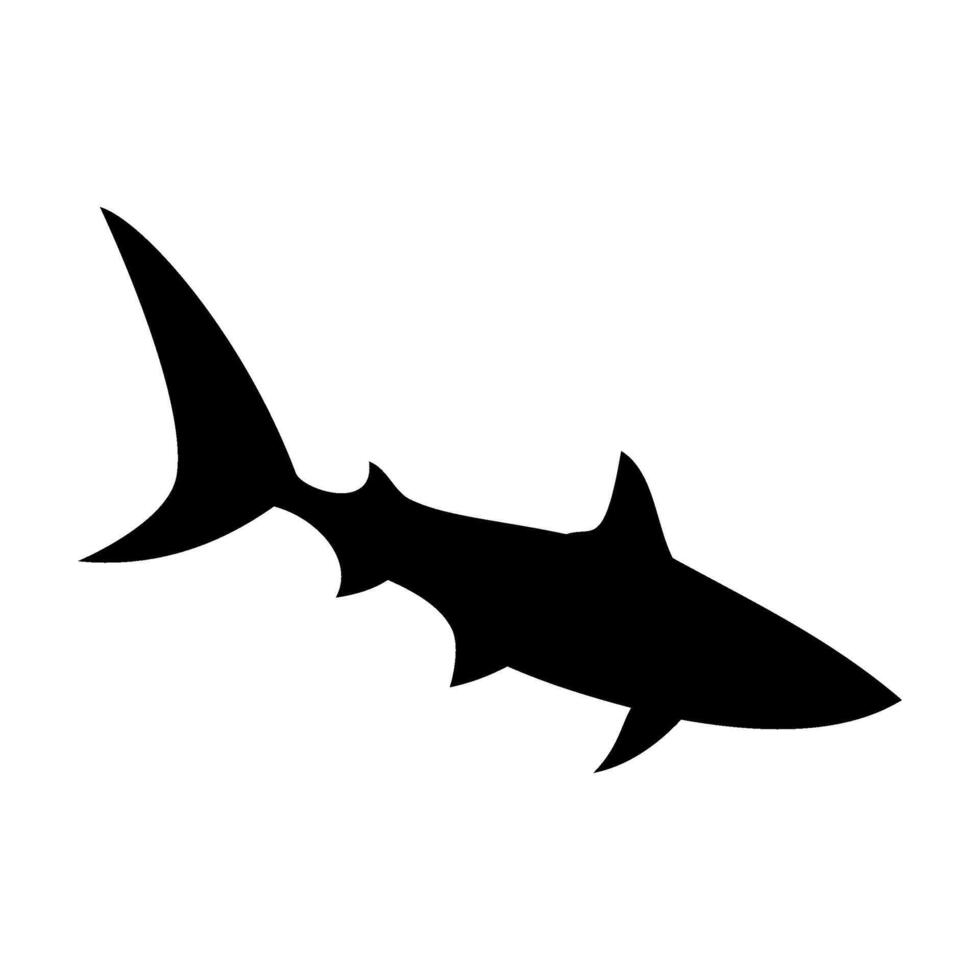 Shark silhouette flat illustration on isolated background vector