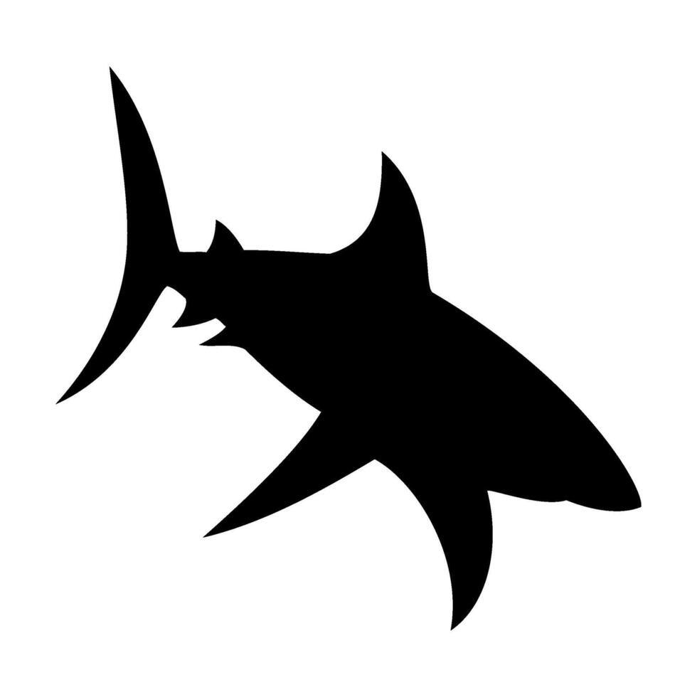 Shark silhouette flat illustration on isolated background vector