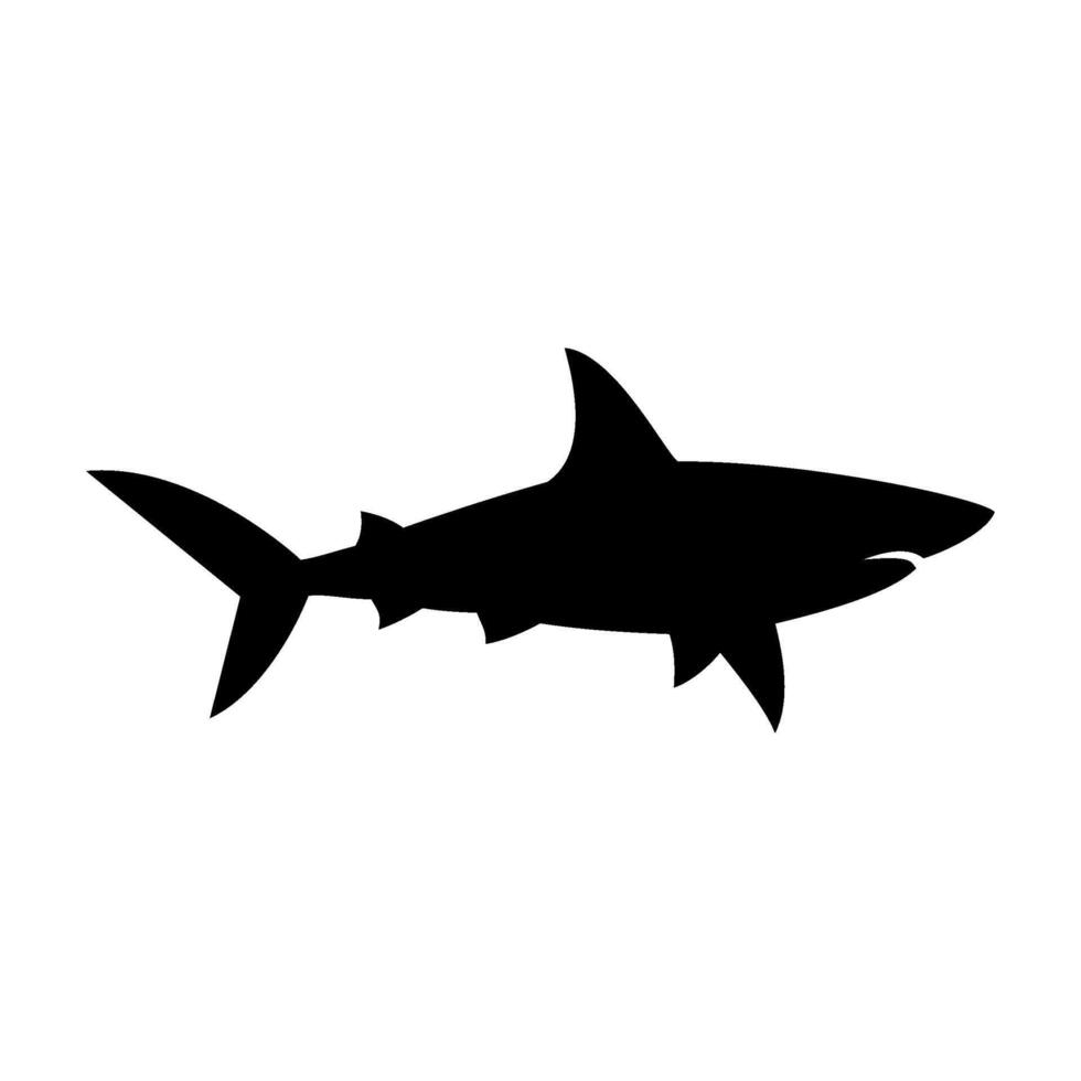 Shark silhouette flat illustration on isolated background vector