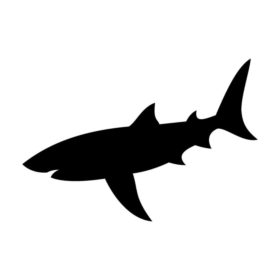 Shark silhouette flat illustration on isolated background vector