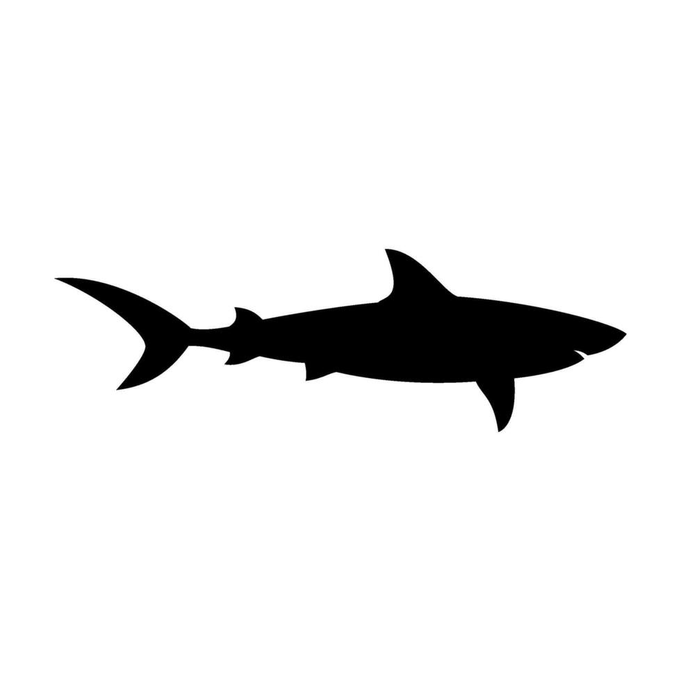Shark silhouette flat illustration on isolated background vector