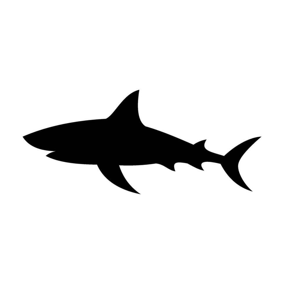 Shark silhouette flat illustration on isolated background vector