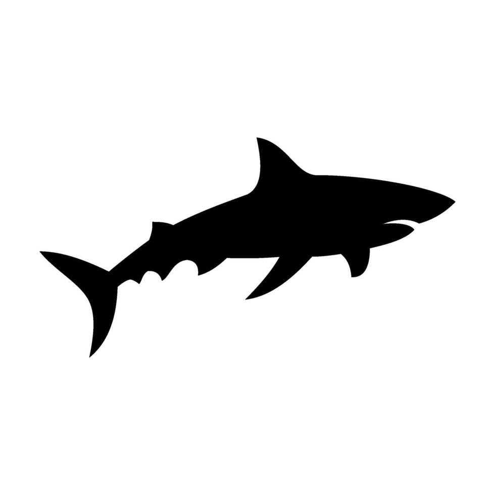 Shark silhouette flat illustration on isolated background vector